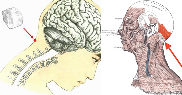 13 Amazing Things Will Happen If you Put An Ice Cube at this Area of your Head! Find Out Here!